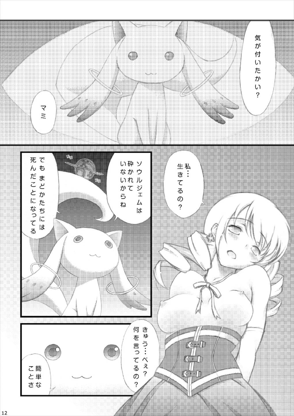 マミさんのＨなほん。 11ページ