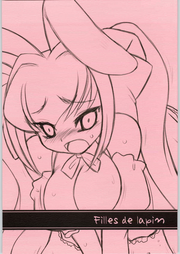Filles de lapin 1ページ