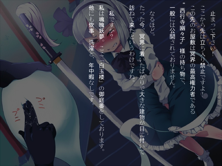幻想郷艶戯-白玉弄- 17ページ