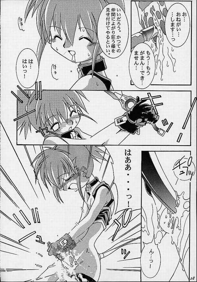 MATRIX EVOLUTION! 25ページ