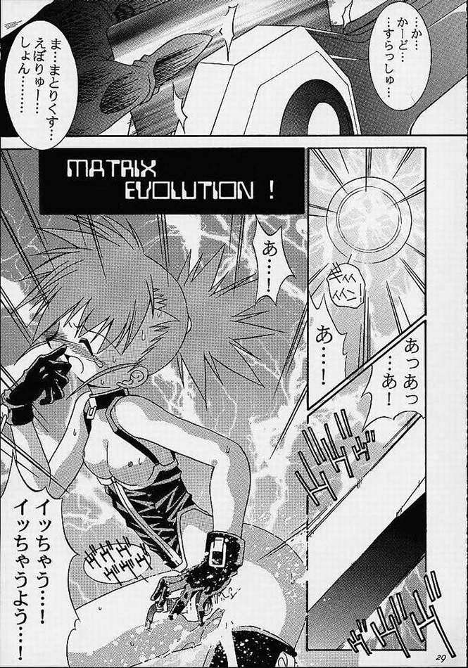 MATRIX EVOLUTION! 26ページ