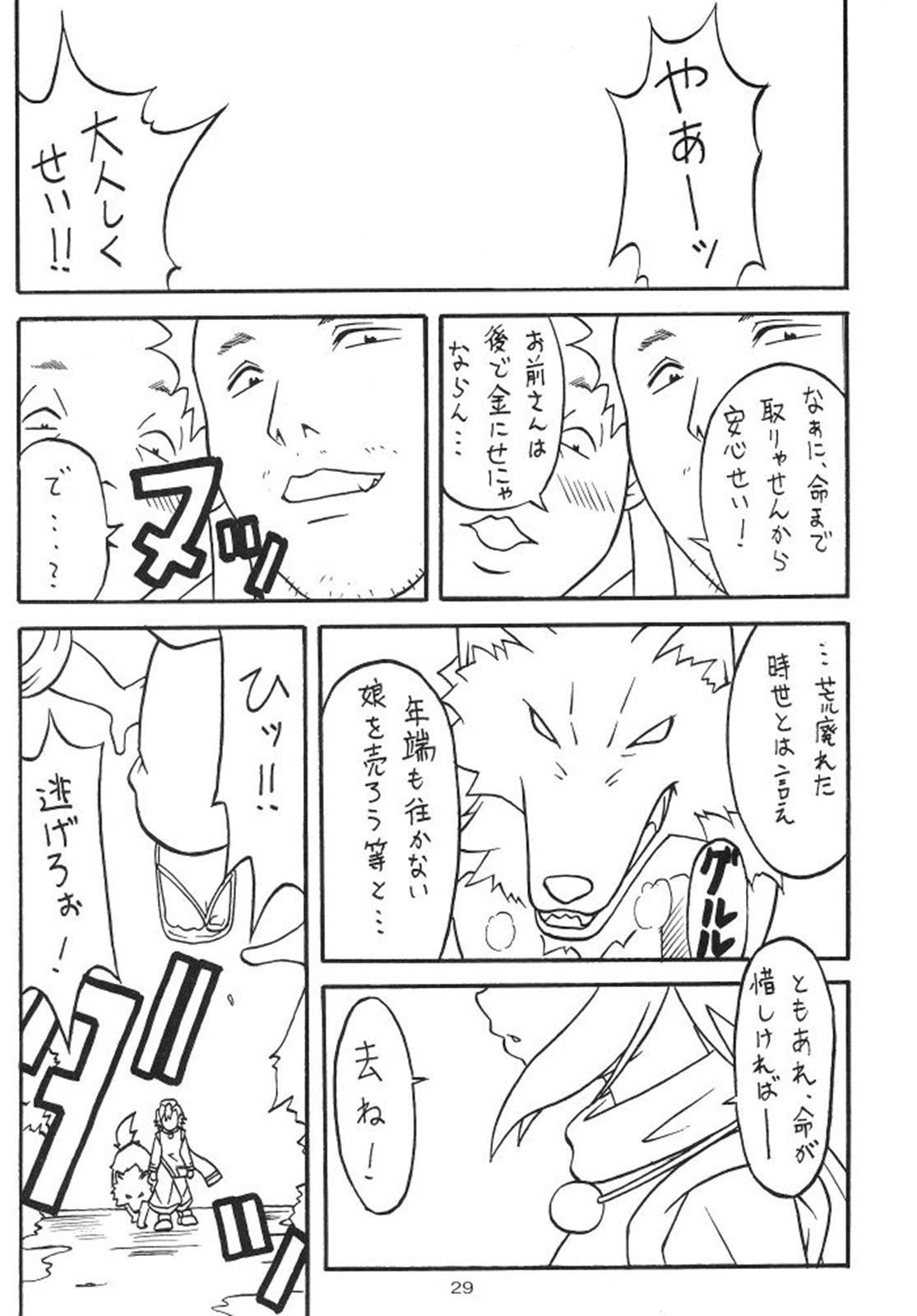 零X 0x 零 28ページ
