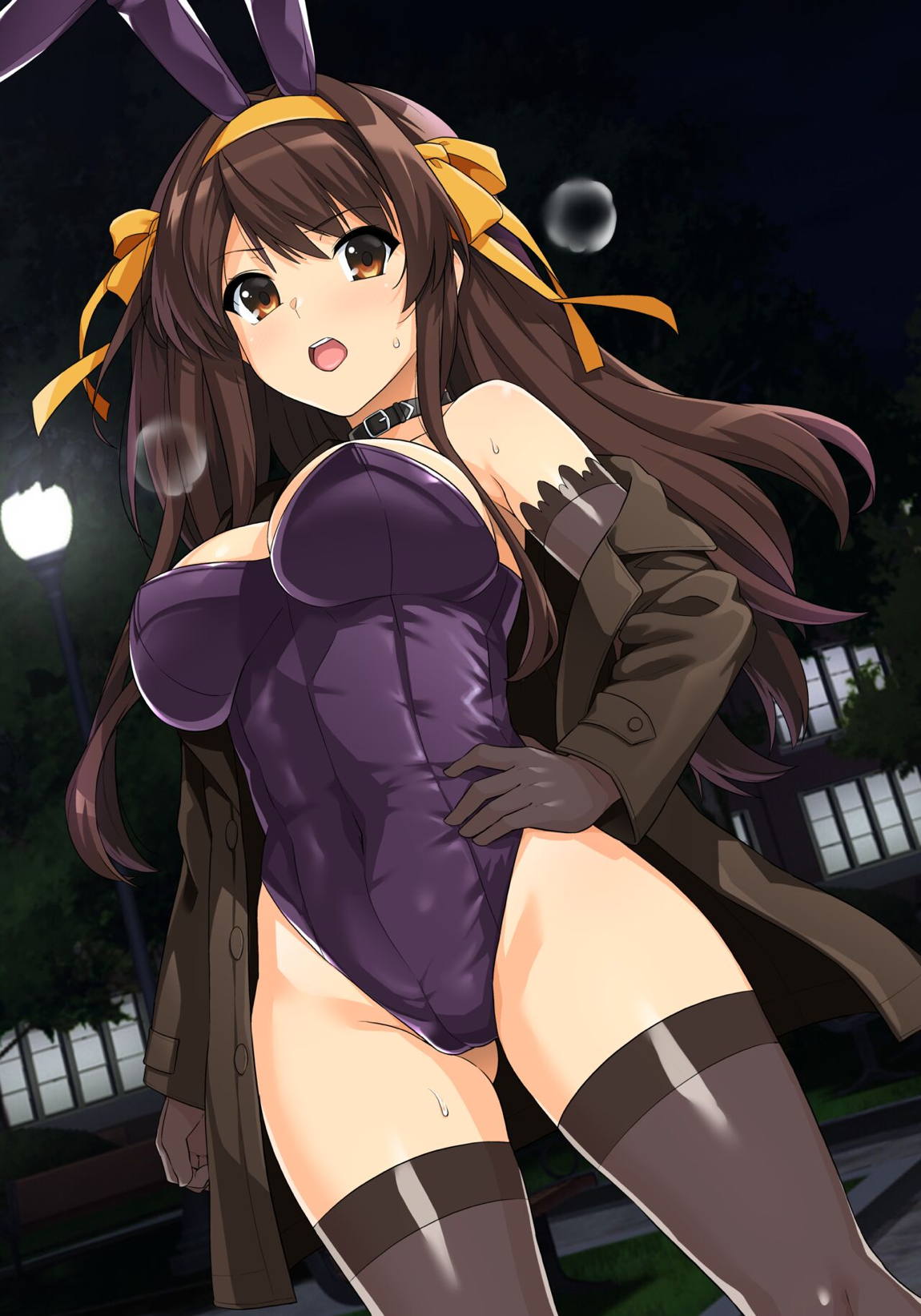 ボンデージハルヒさん 2ページ