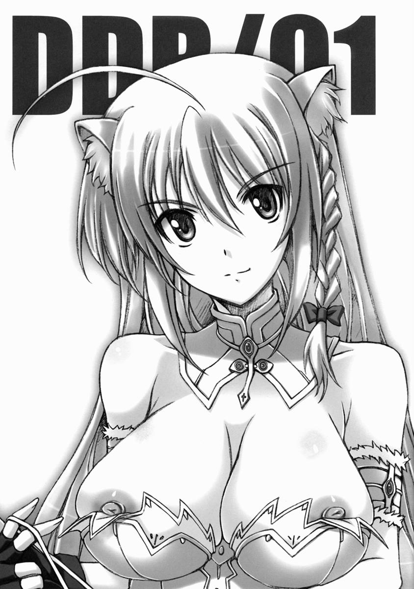DDR01 2ページ
