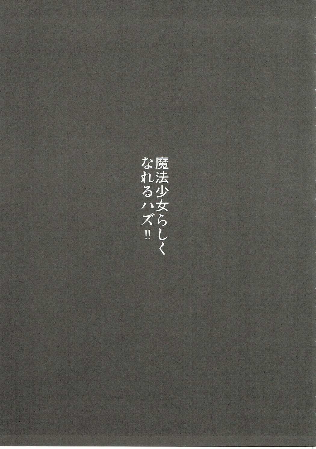 もちかえりイリヤスフィール 10ページ