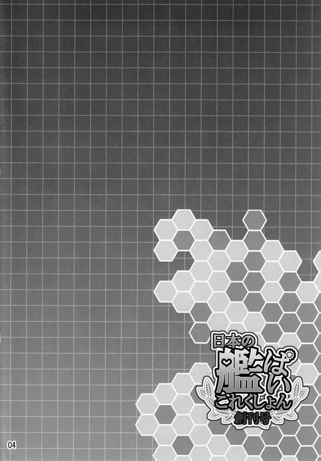 日本の艦ぱいこれくしょん-創刊号- 3ページ
