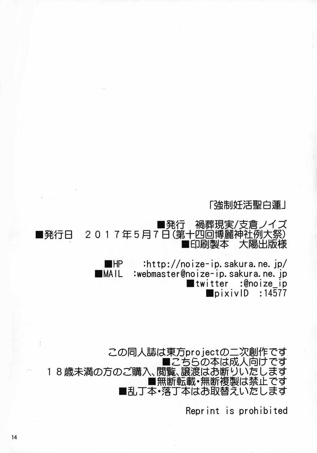 強制妊活聖白蓮 13ページ