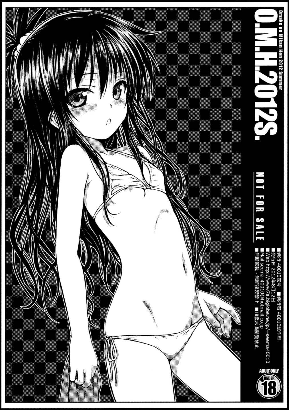 O.M.H.2012S 6ページ
