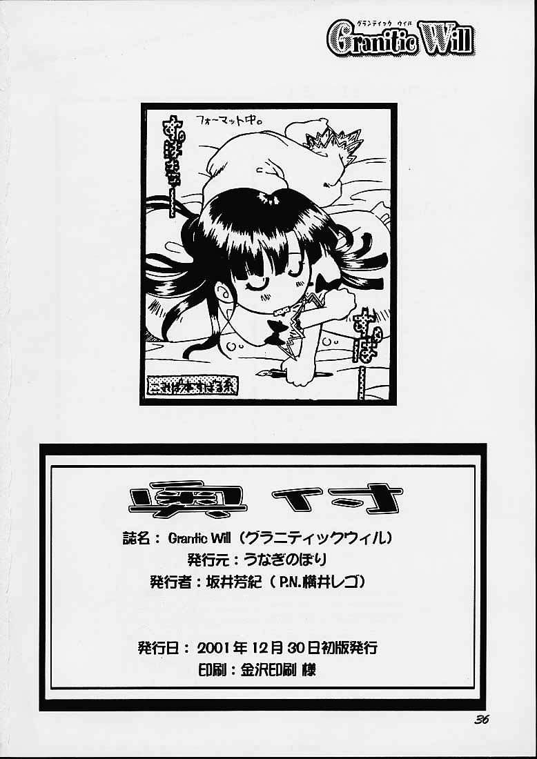 Granitic Will 32ページ