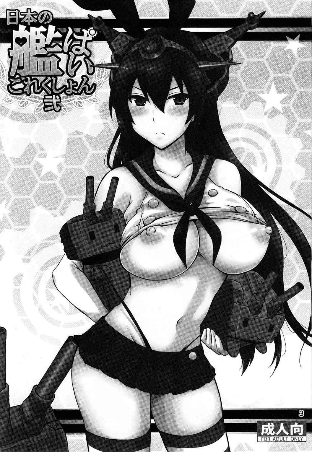 日本の艦ぱいこれくしょん弐 2ページ