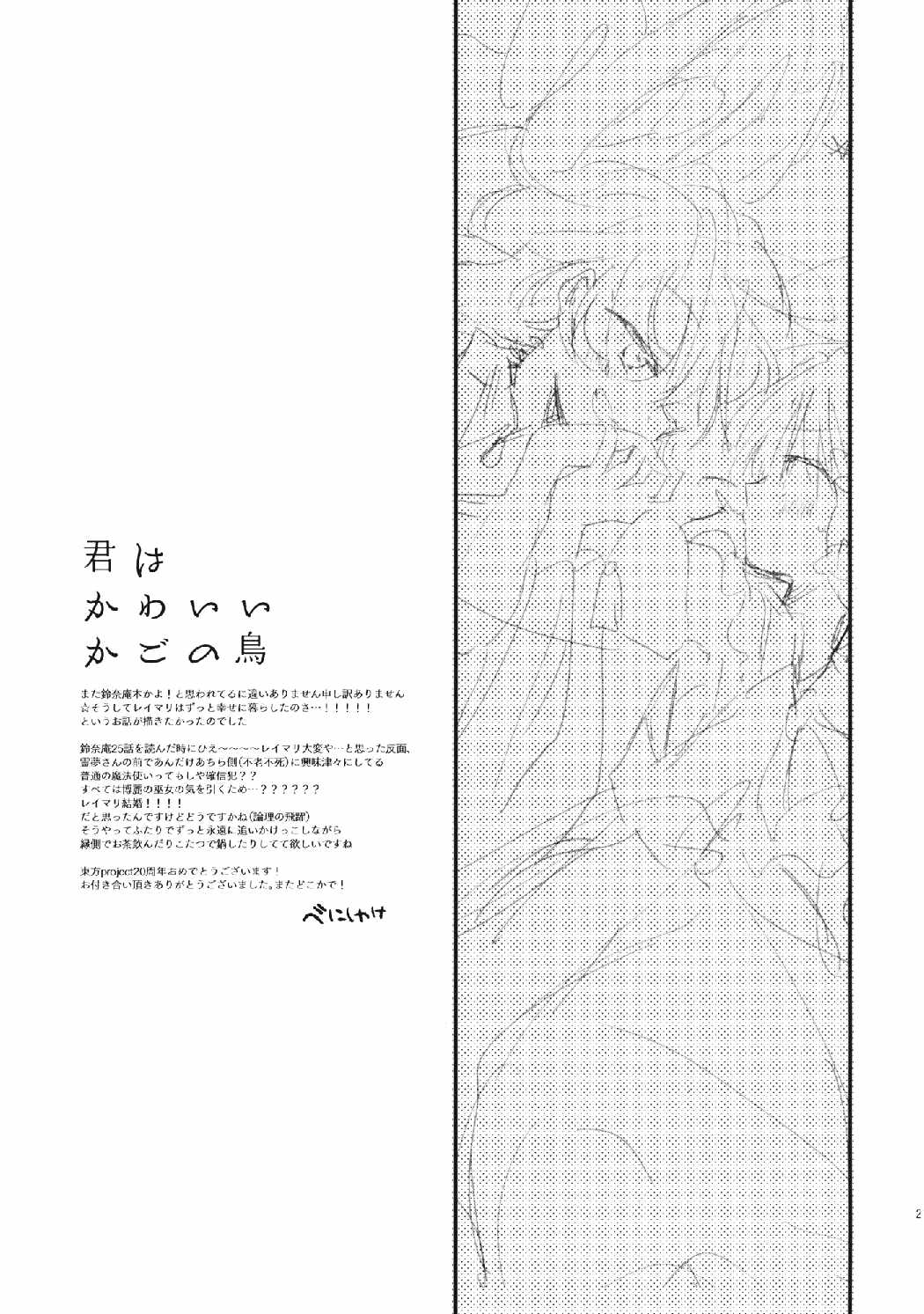 君はかわいいかごの鳥 21ページ