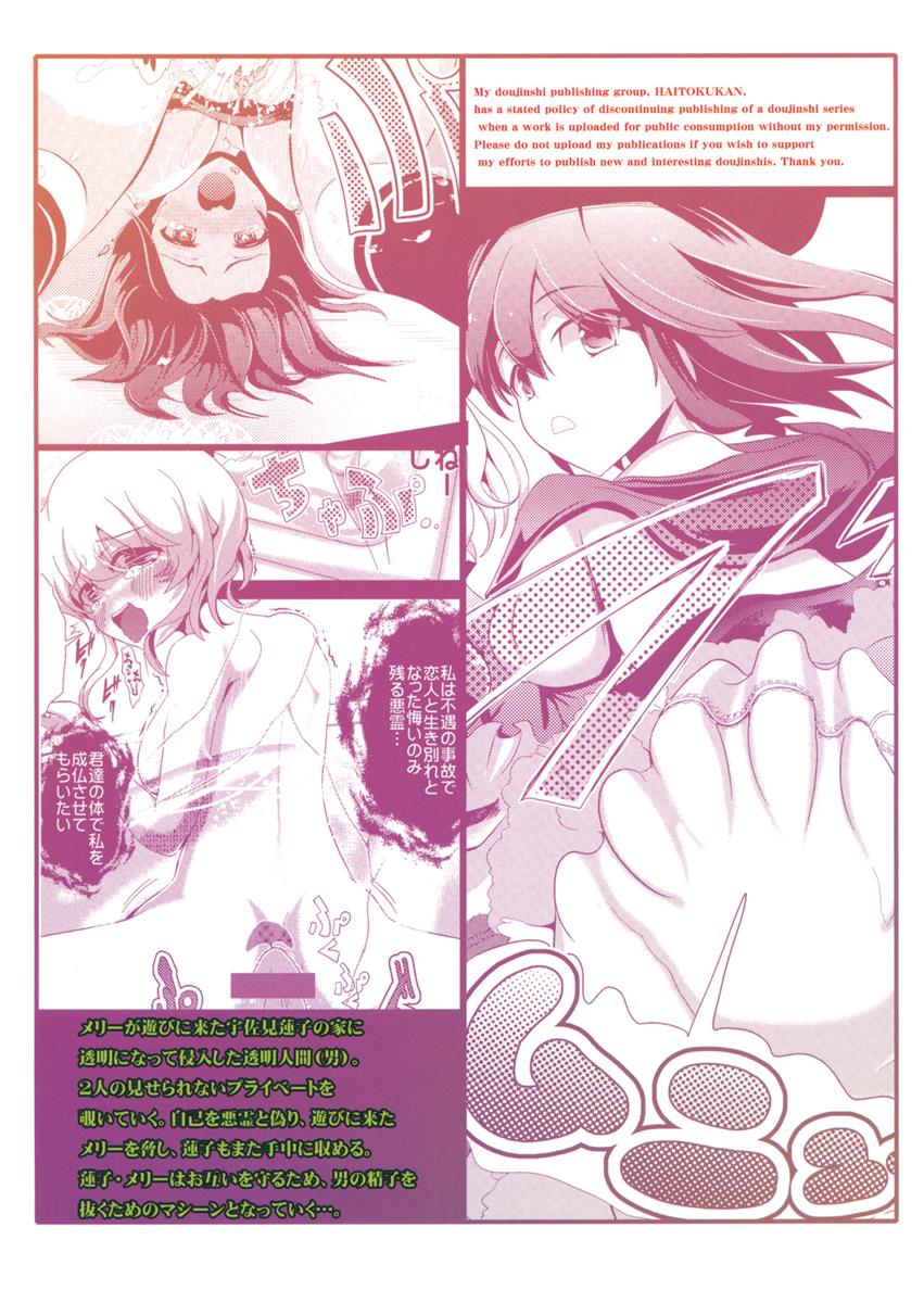 東方透明人間2 侵入蓮子んち 18ページ