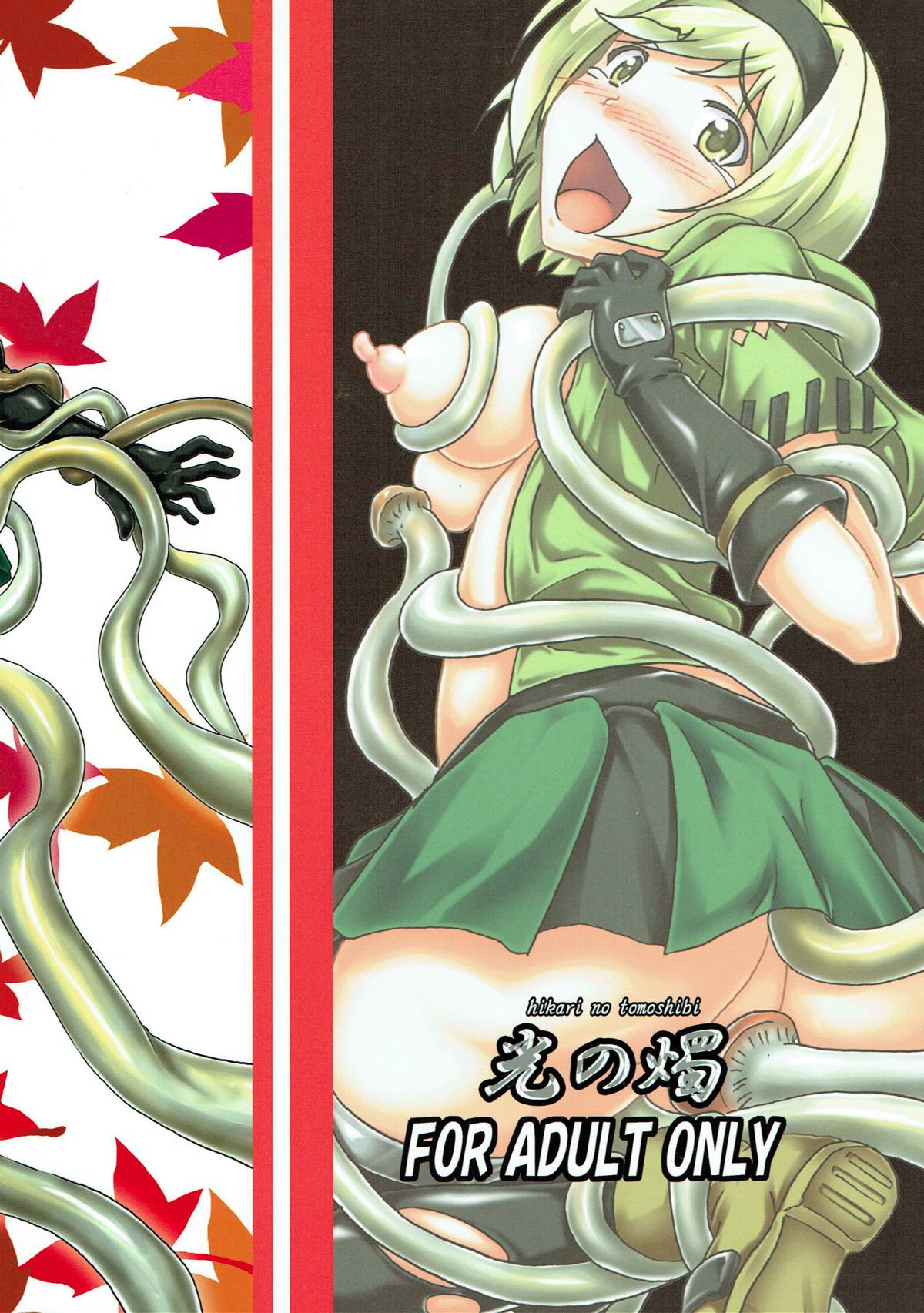 苗床って素晴らしい！？ 26ページ