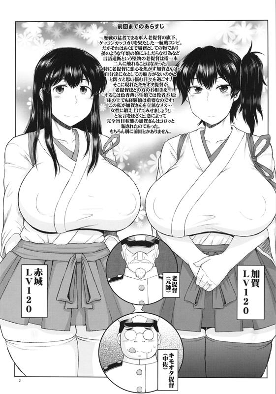 人妻一航戦と種付け演習♪〜赤城さんと加賀さんの豊満な船体目掛けてキモオタ珍宝急降下爆撃 3ページ