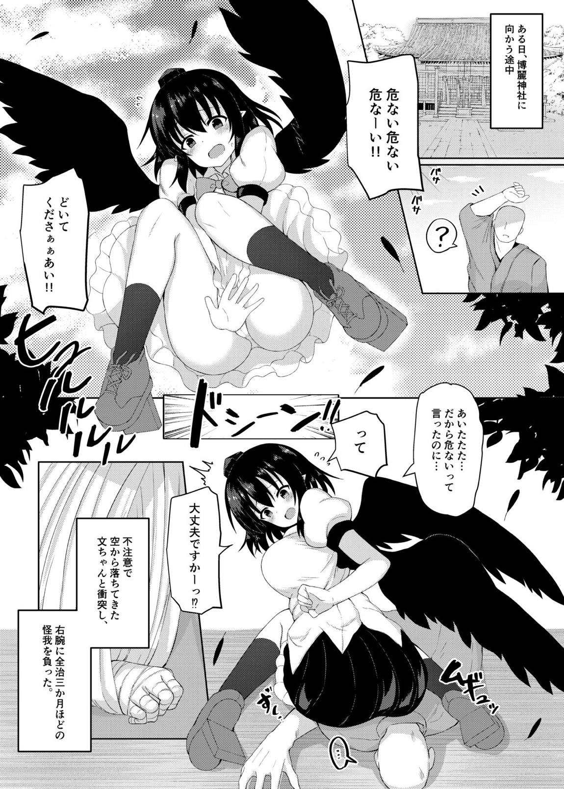 えっちな天狗のお手伝いさん 3ページ