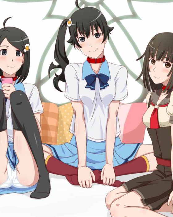 ある地方都市の女学生との関係 正義の味方編