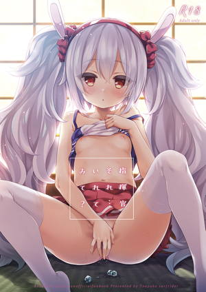 指揮官それ…いれてみて