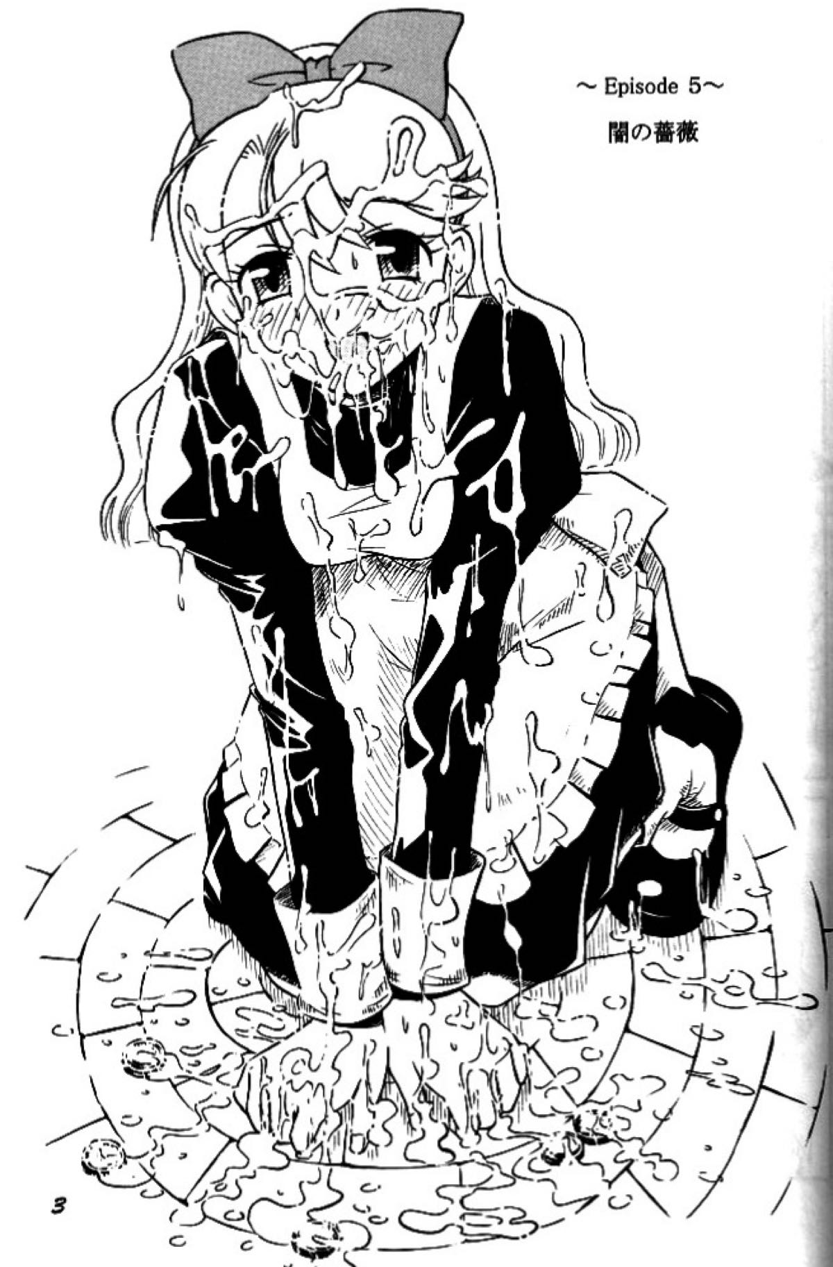 闇の薔薇 2ページ
