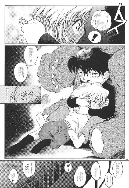哀の嵐 15ページ