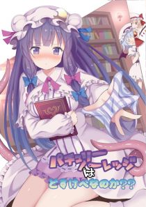 パチュリー・ノーレッジはどすけべなのか??
