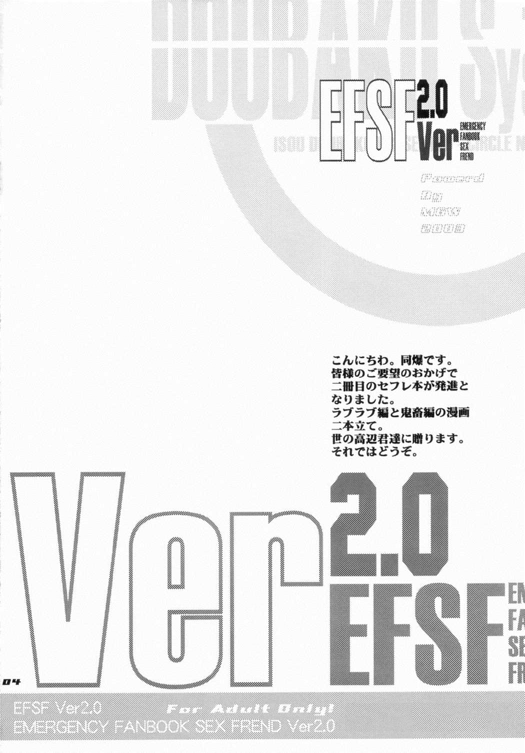 EFSF ver2.0 3ページ