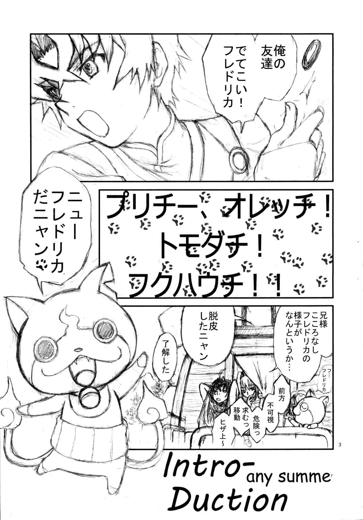 intro-duction anysummer 3ページ