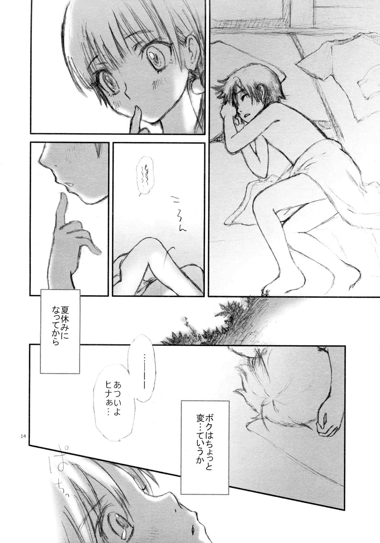 intro-duction anysummer 14ページ