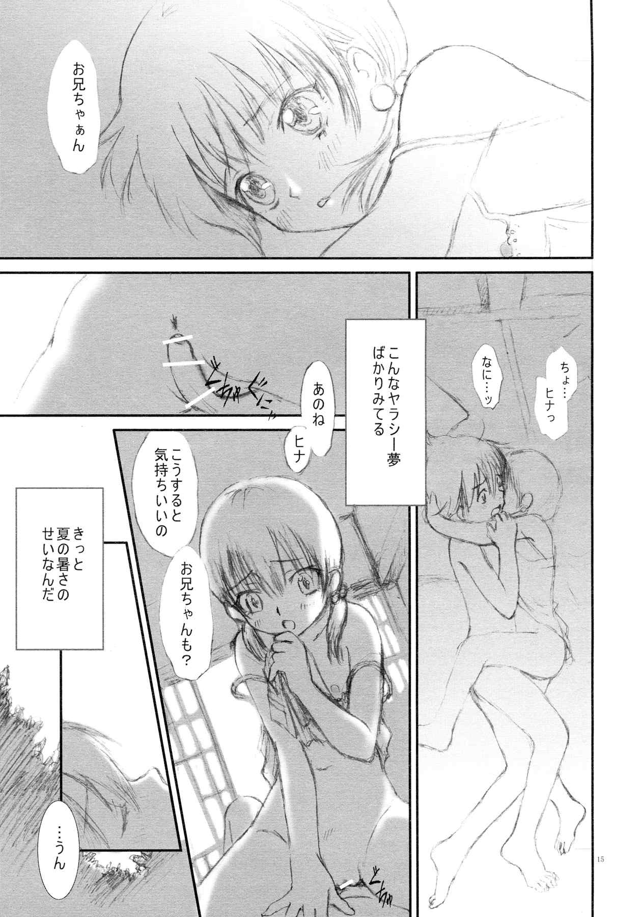 intro-duction anysummer 15ページ