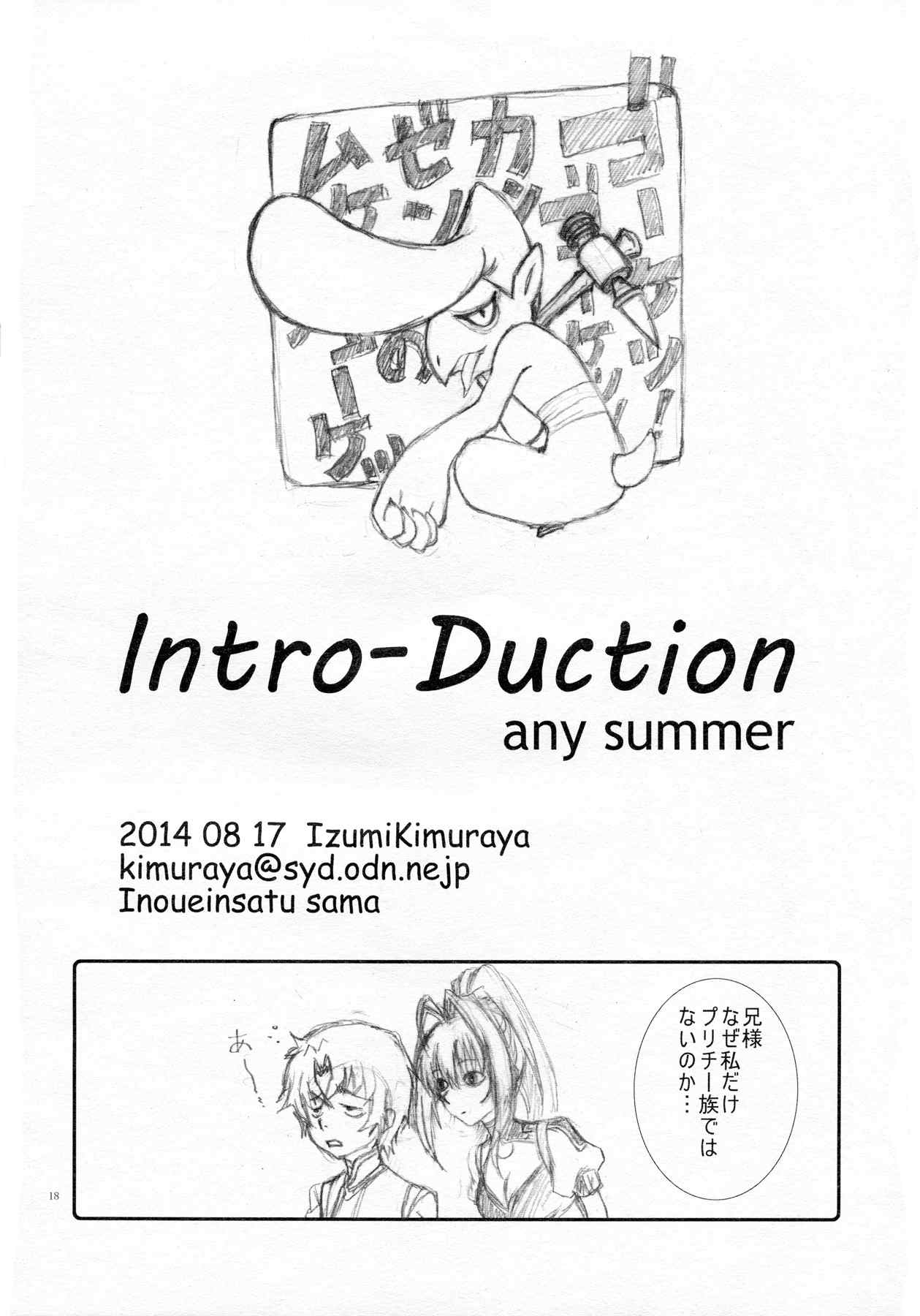 intro-duction anysummer 18ページ