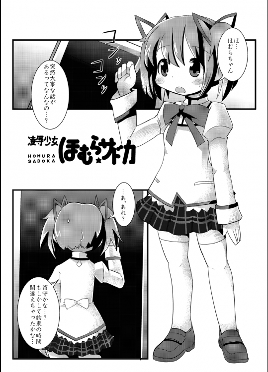 凌辱少女ほむら☆サドカ 2ページ