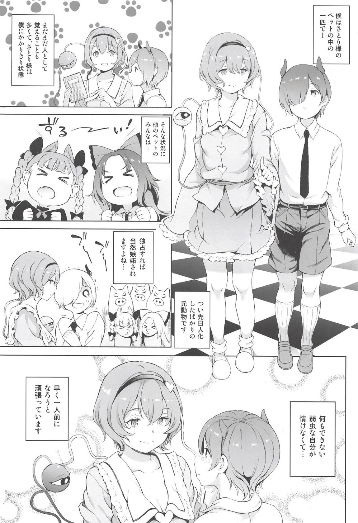 サトリサマジェネレーション 3ページ