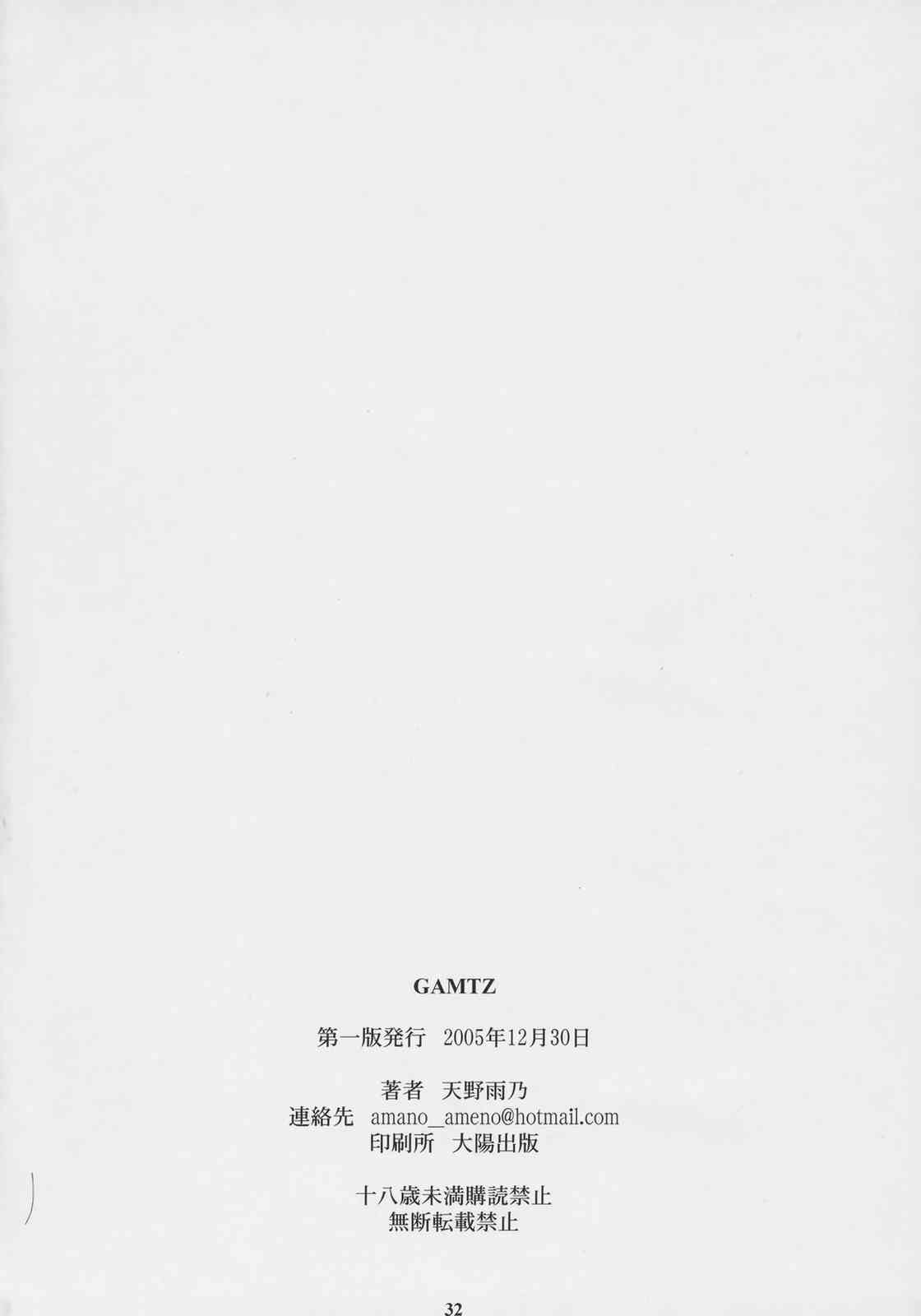 GAMTZ 31ページ