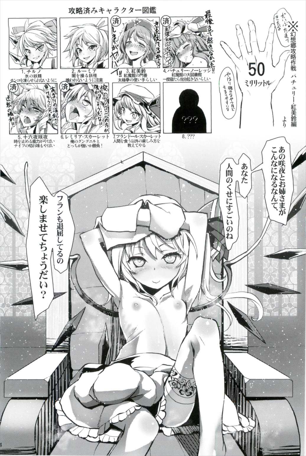 幻想郷攻略作戦 総集編 52ページ