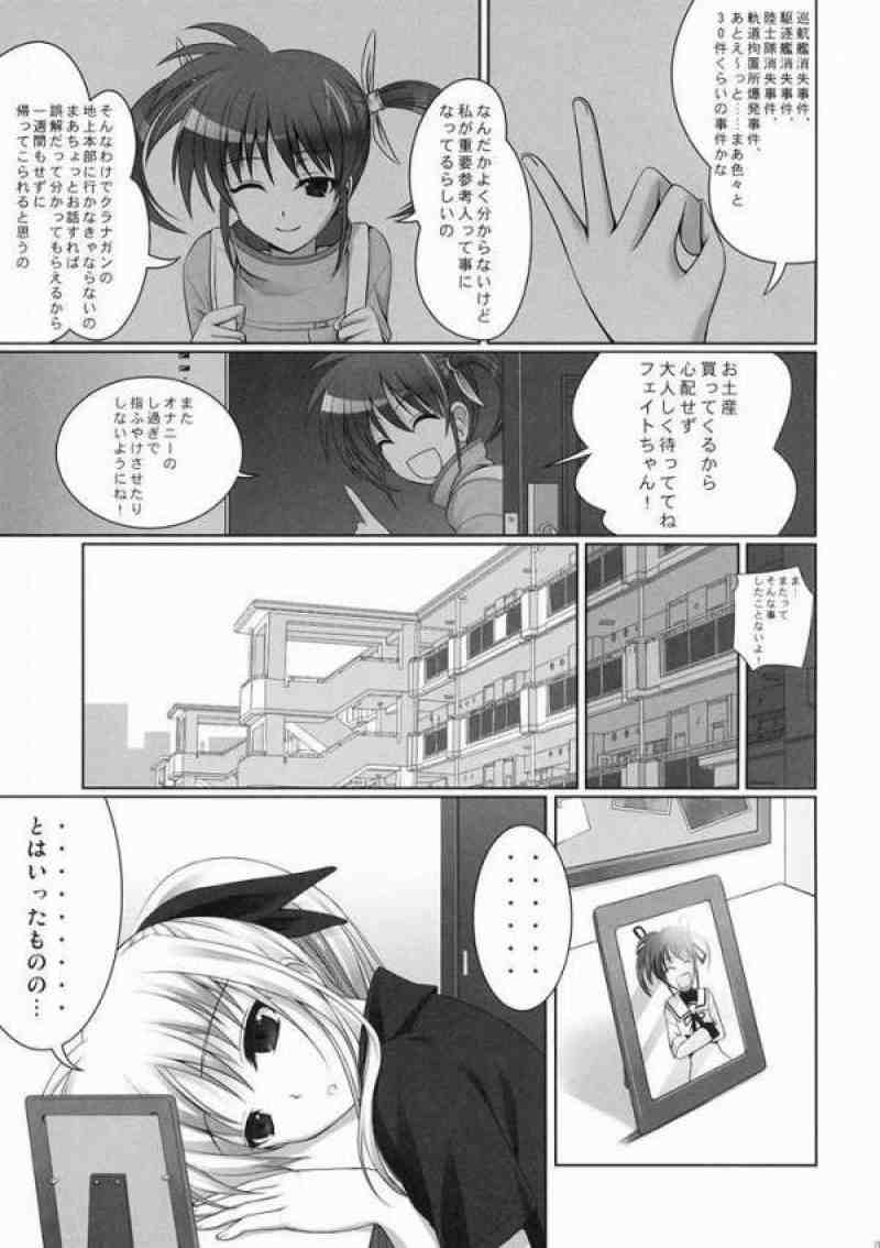 フェイトちゃんはやっぱりしあわせ 2ページ