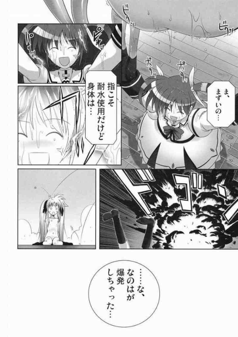 フェイトちゃんはやっぱりしあわせ 19ページ