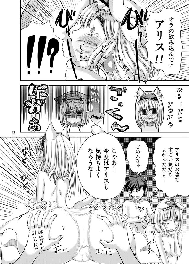 えっちなニャリスの作り方。 25ページ