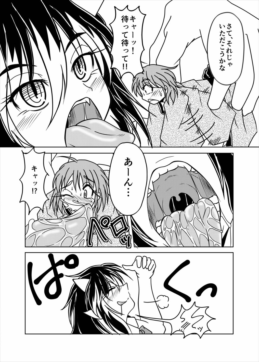 東方丸呑録 真打 14ページ