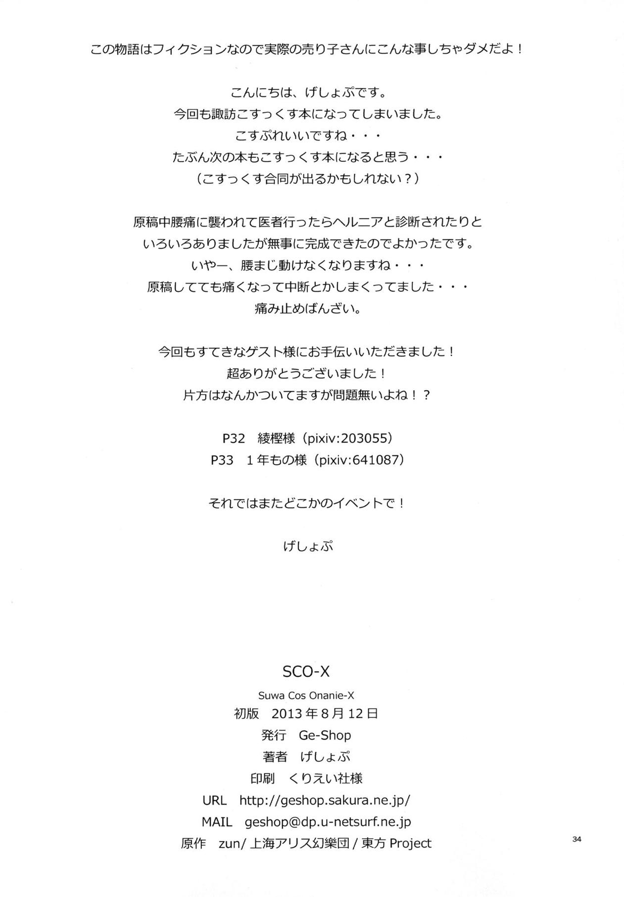 SCO-X 33ページ