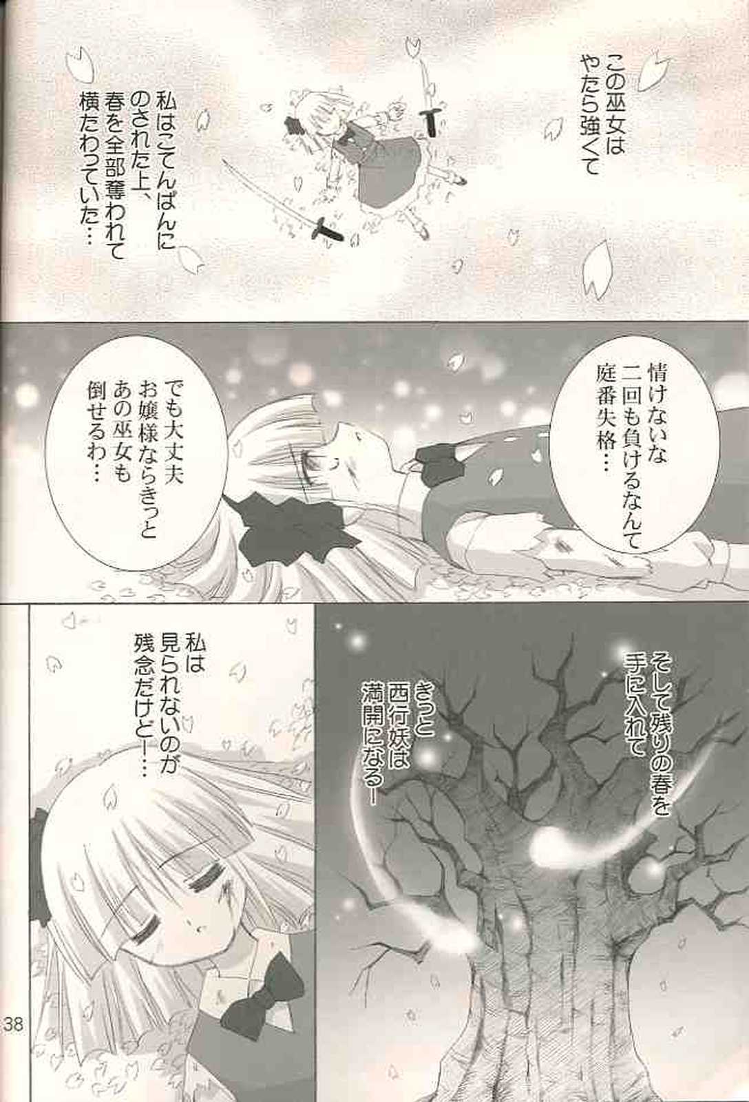 月夜の霧雨 春の夢 39ページ