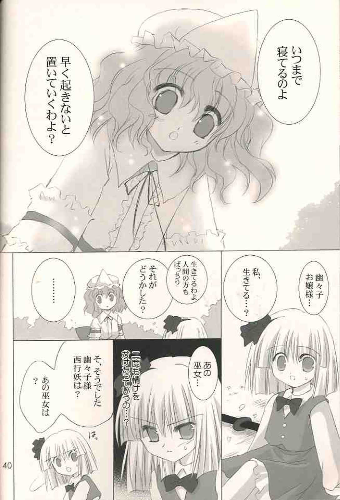 月夜の霧雨 春の夢 41ページ