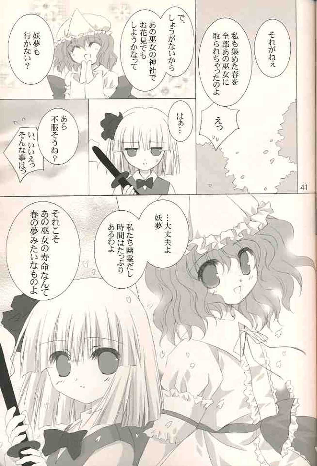 月夜の霧雨 春の夢 42ページ