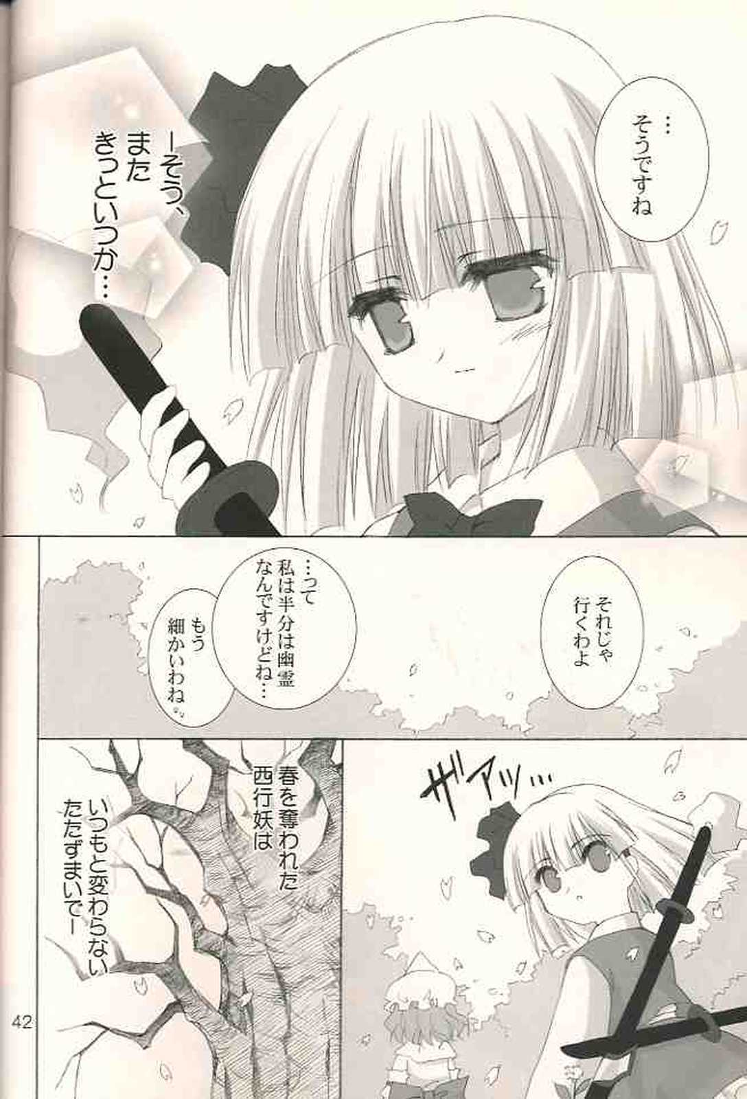 月夜の霧雨 春の夢 43ページ