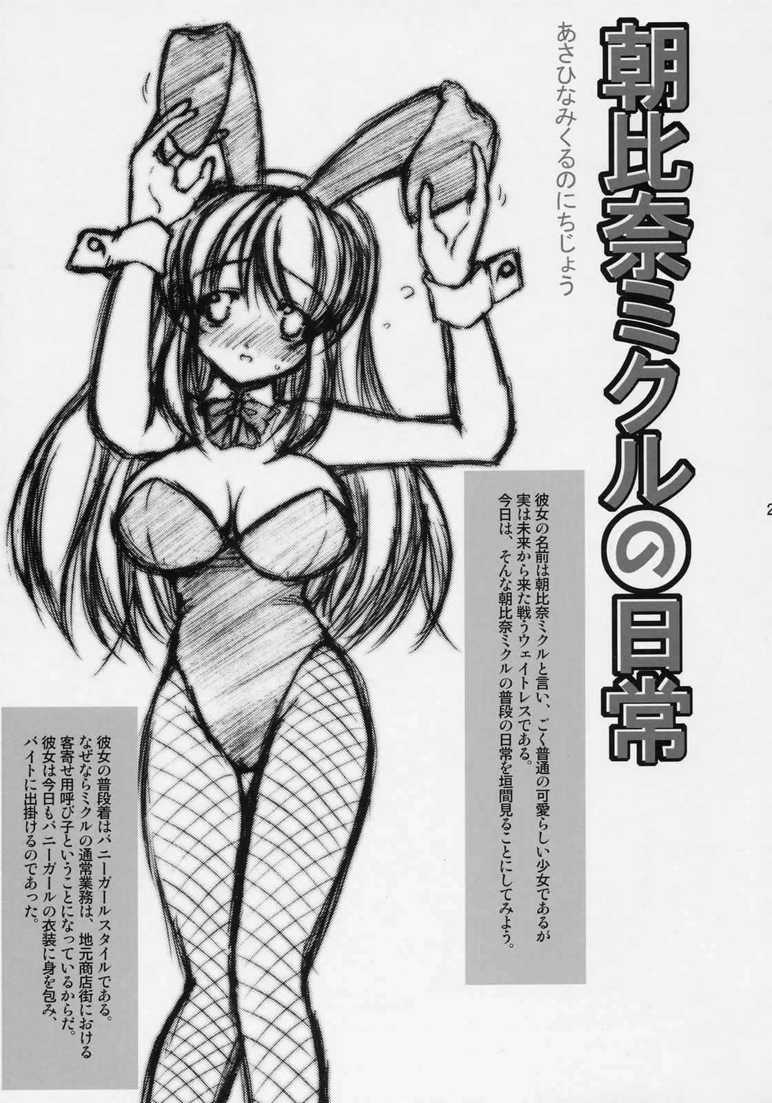 朝比奈ミクルの溜息 20ページ