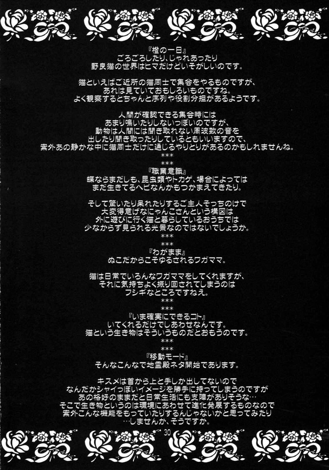 Eastern Interceptor イーグル 29ページ