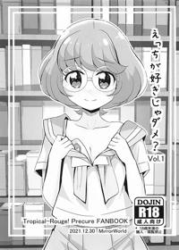 えっちが好きじゃダメ?vol,01