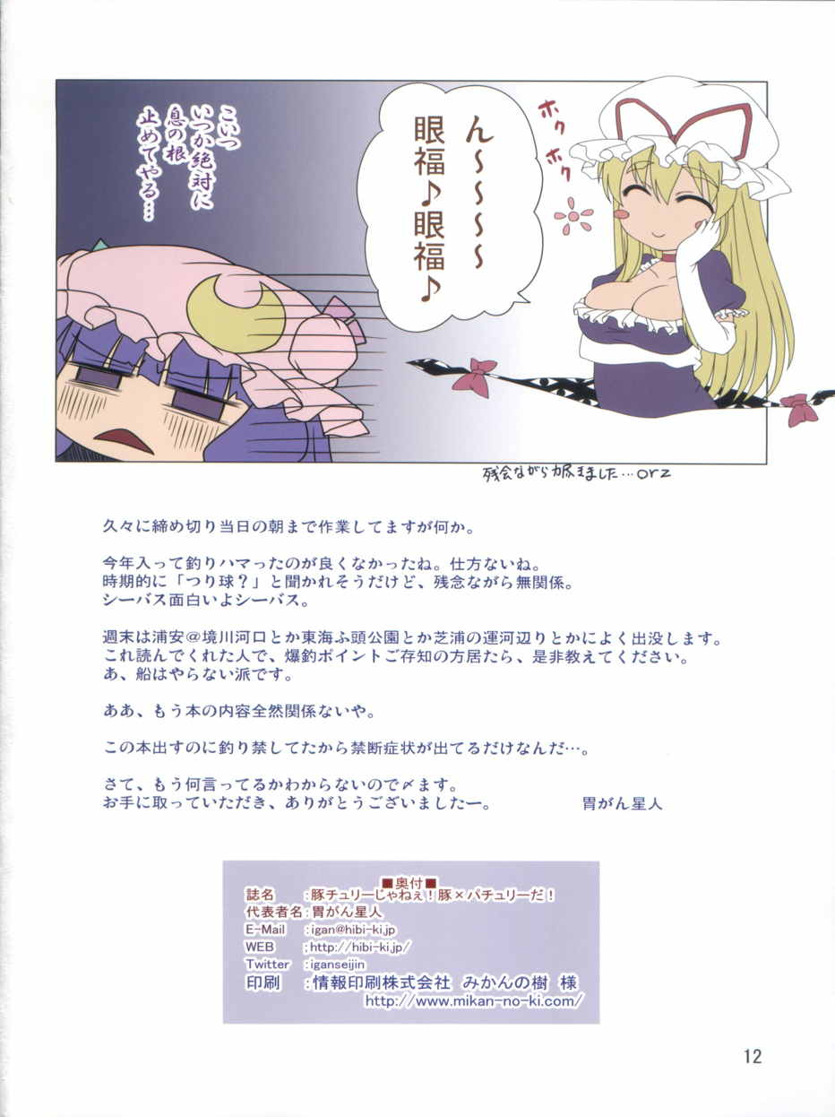 豚チュリーじゃねぇ! 豚×パチュリーだ! 14ページ