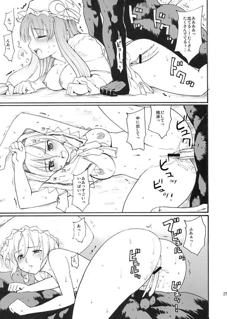東方浮世絵巻 パチュリー＝ノーリッジ 24ページ