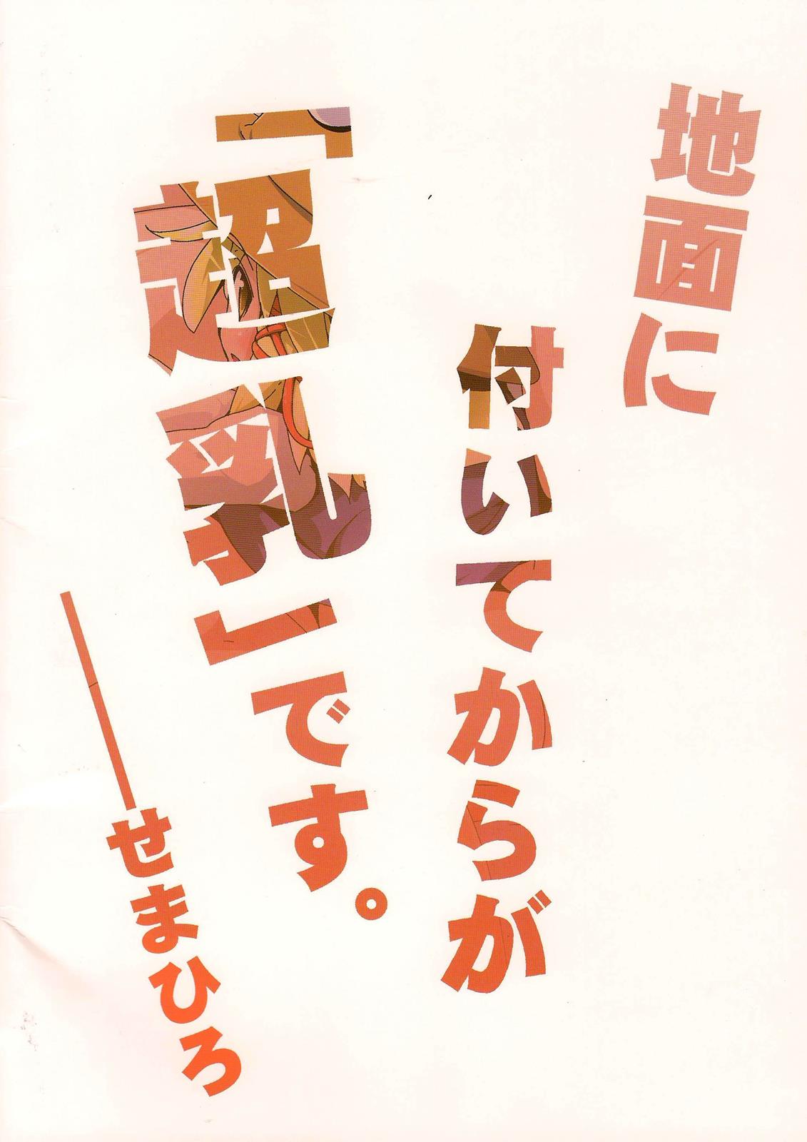 東方接地系超乳個人合同誌 14ページ