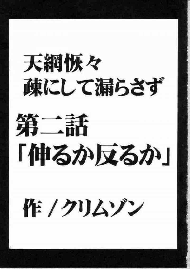 天網恢々疎にして漏らさず 20ページ