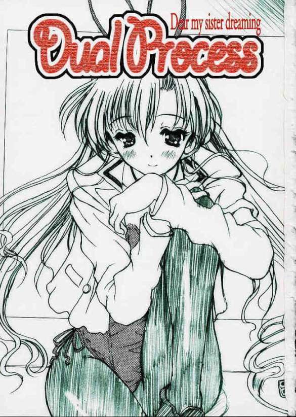 Dual Process 2ページ